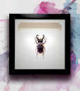 009_Beetle_MidEnd_LavenderPurpleVelvet_featured