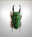017_Beetle_HeadMidEnd_Green_full