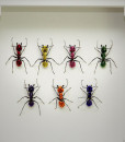 042_Ants_Rainbow_Framed_full