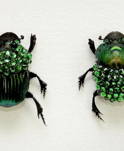 051_Green-Scarab-Beetles_Framed_close