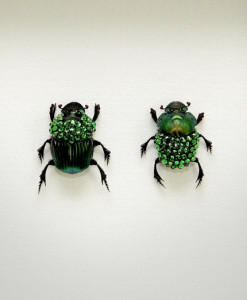 051_Green-Scarab-Beetles_Framed_full