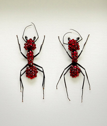 053_Ants_Red_FramedFULL